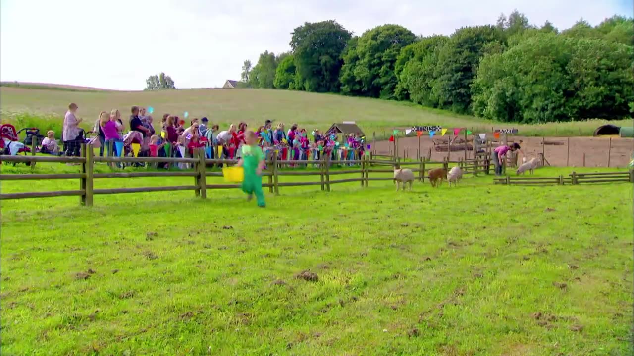 Mi Mascota y Yo - T1E19 - Cerditos de carrera