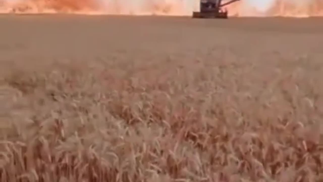 wonders of the world