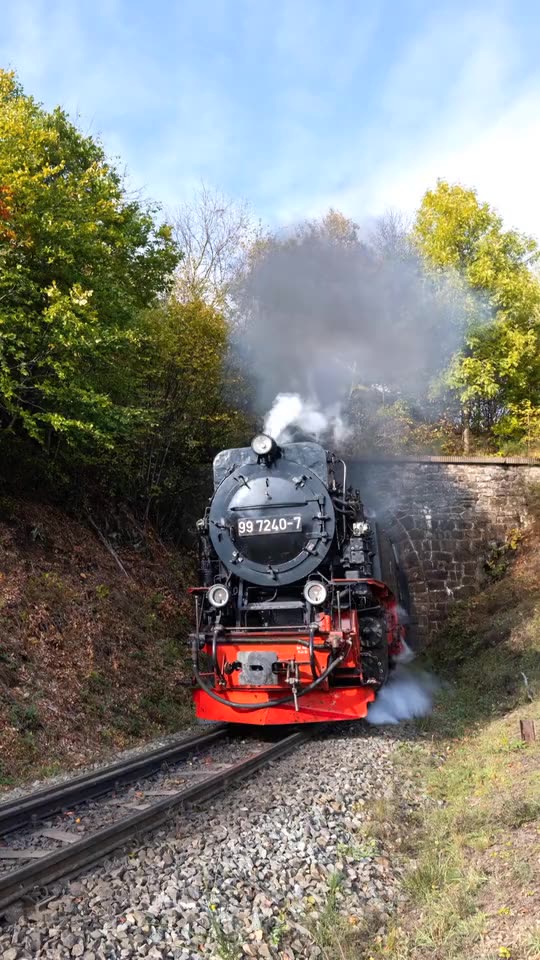 Train, locomotive, forest