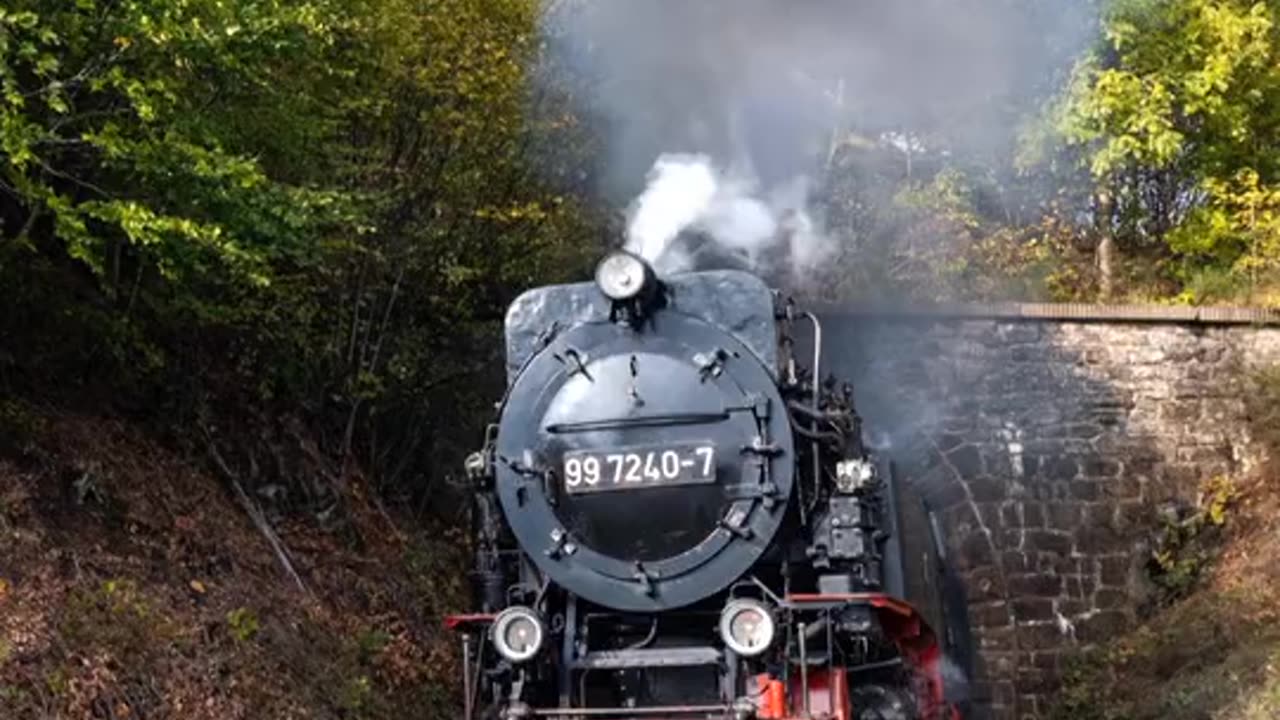 Train, locomotive, forest