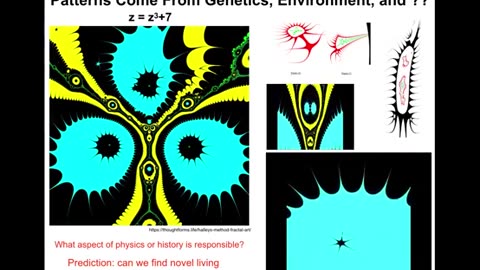 Michael Levin | Natural and artificial forms of life and embodied mind