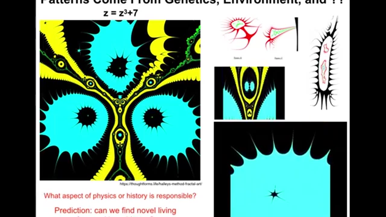 Michael Levin | Natural and artificial forms of life and embodied mind