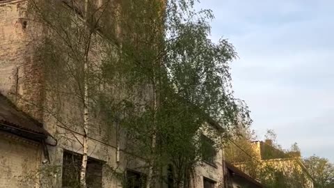 Abandoned factory in Belgium April 2024