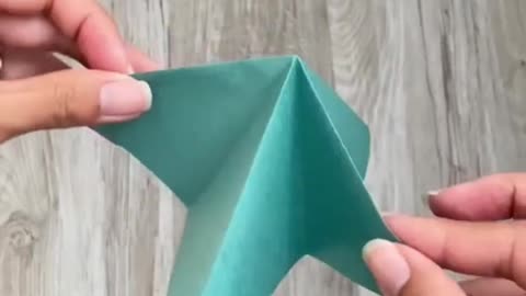 Origami Tartaruga