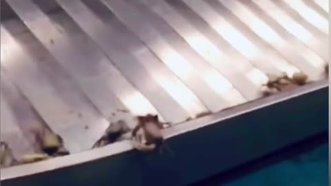 π€£πΆ This Video Needs the Perfect Soundtrack! Wait for It... | FunFM