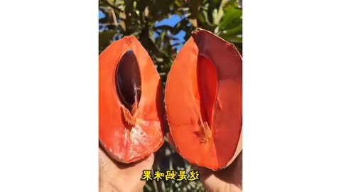 50 Rare Fruits You've Never Heard Of! How Many Can You Name? 🍈🍒🍇
