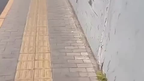 No Chance
