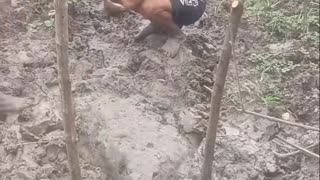 🤣🤣🤣