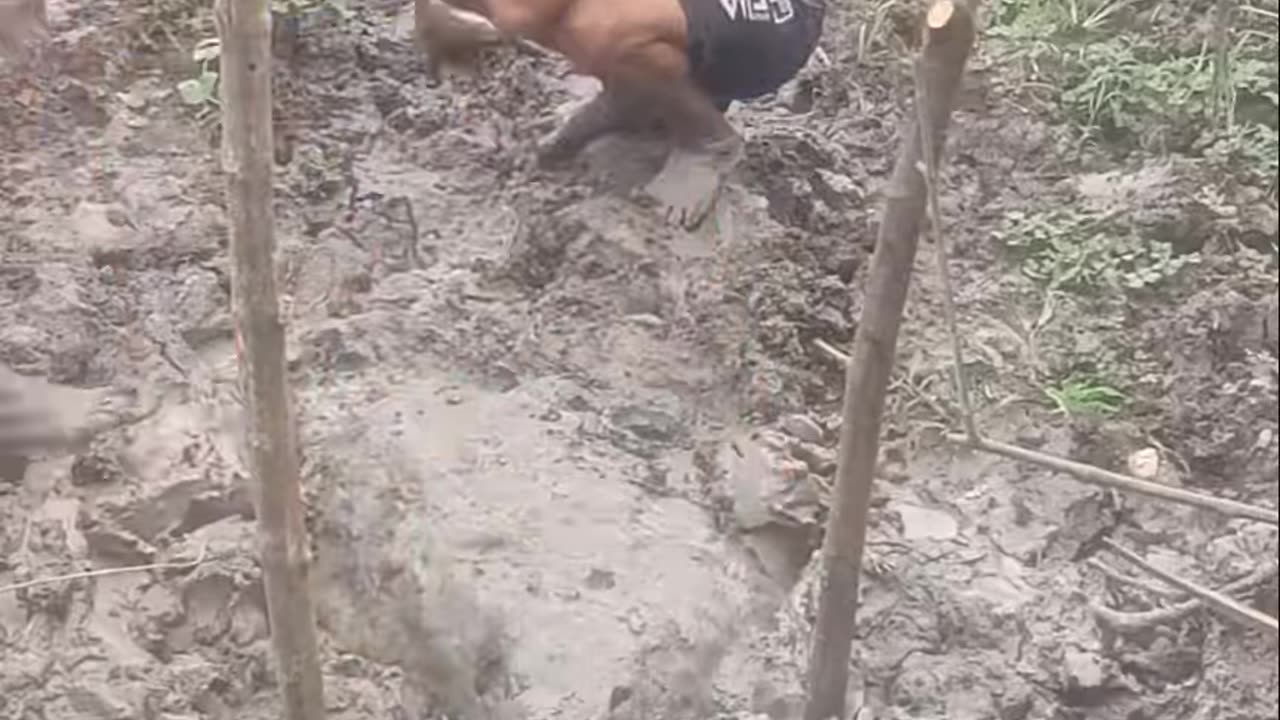🤣🤣🤣