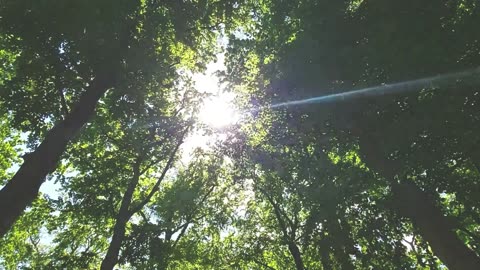 Nature by Ralph Waldo Emerson (Chapter 2)