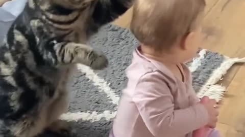 Both the baby and the cat are having fun
