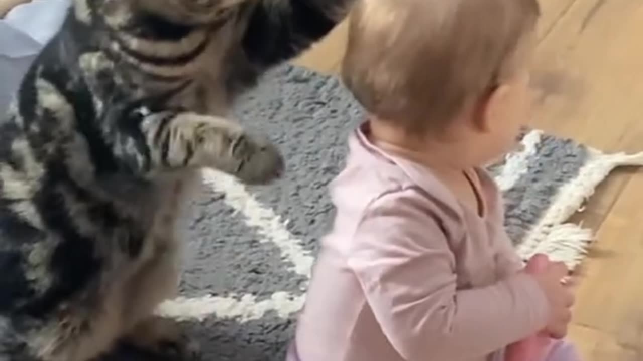 Both the baby and the cat are having fun