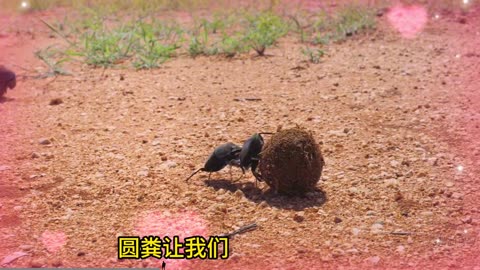 cute wild life blogging