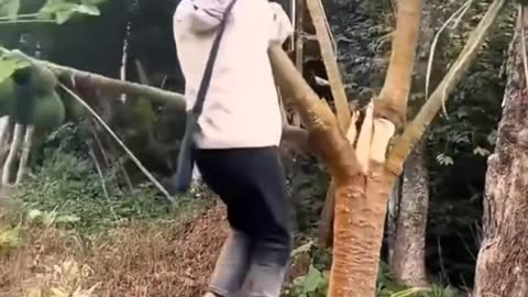 Funniest Fails Caught on Camera – You’ll Laugh Till You Cry! 😂💥