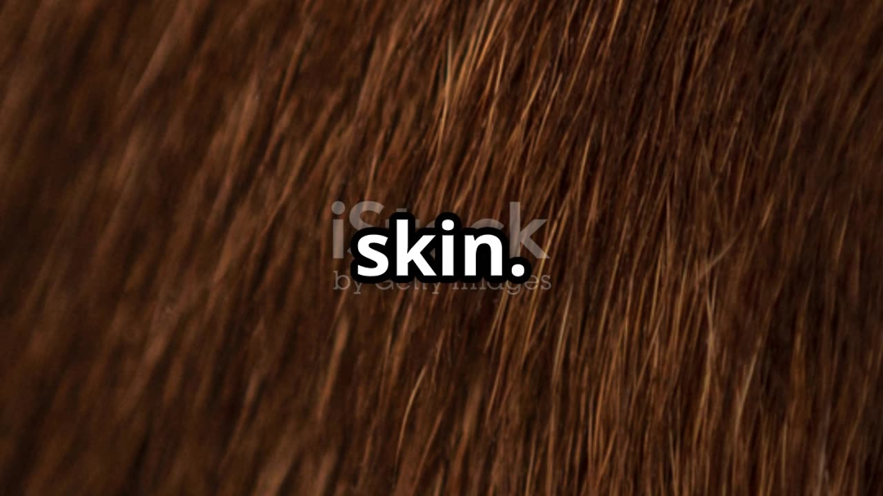 ou Won’t Believe What All Mammals Have in Common 🐾 | Amazing Facts