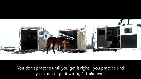 Marty - three trailers - 29 Jan 2026