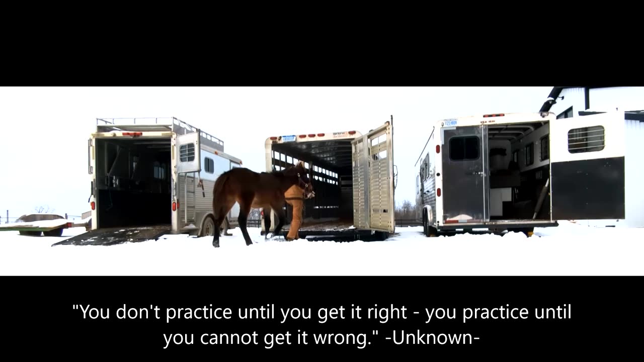 Marty - three trailers - 29 Jan 2026