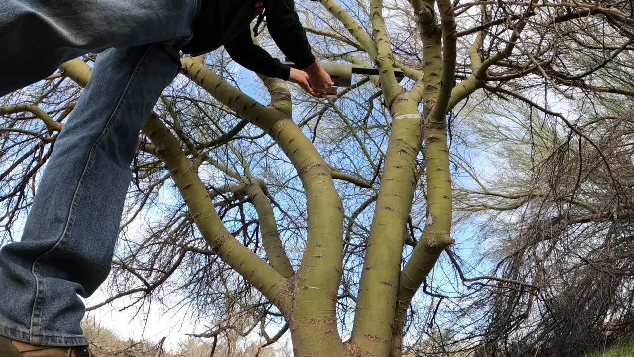 Cool Geocache in N. Scottsdale Az