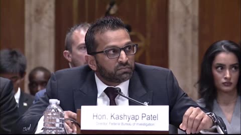 'You haven't read the Constitution?' Dem pummels Kash Patel for ignoring due process law
