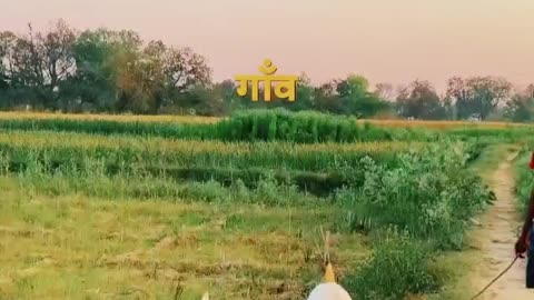 #Asali Sukun To Gaon Mein Hi #Hai 👌👌🫡🫡