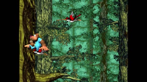 Donkey Kong Country 3 - Part 47