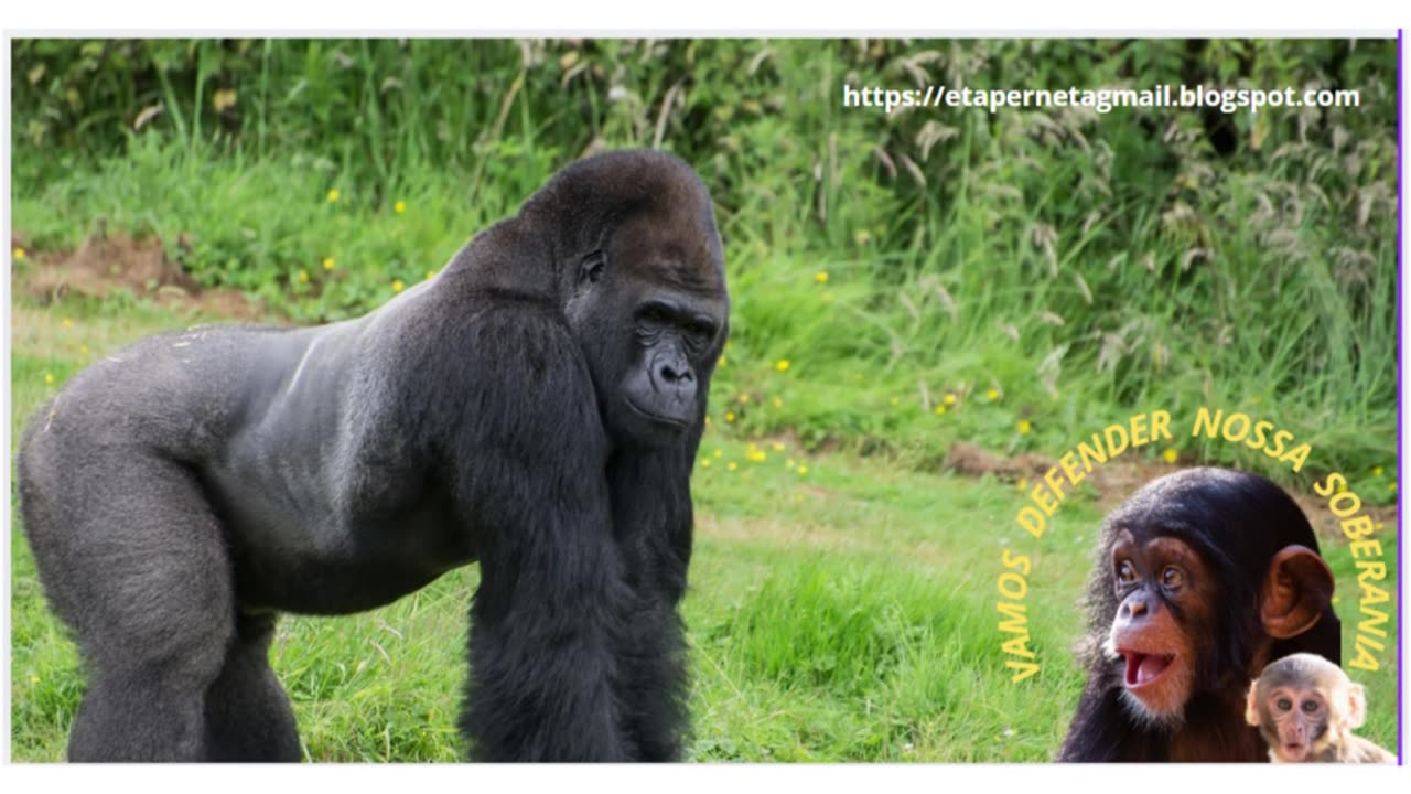 VAMOS DEFENDER NOSSA SOBERANIA