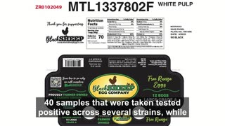 Urgent Egg Recall Alert💥 Black Sheep Eggs and Kenz Henz Linked to Salmonella Concerns