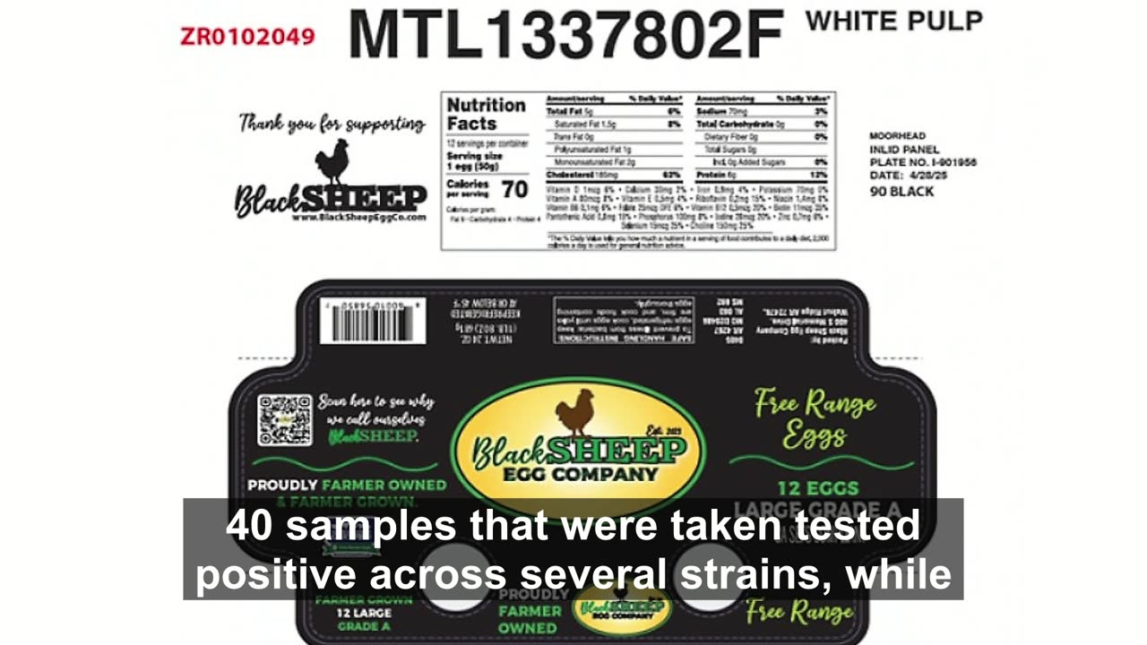 Urgent Egg Recall Alertš„ Black Sheep Eggs and Kenz Henz Linked to Salmonella Concerns