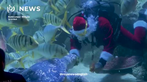Underwater Santa delights crowds in Kuala Lumpur