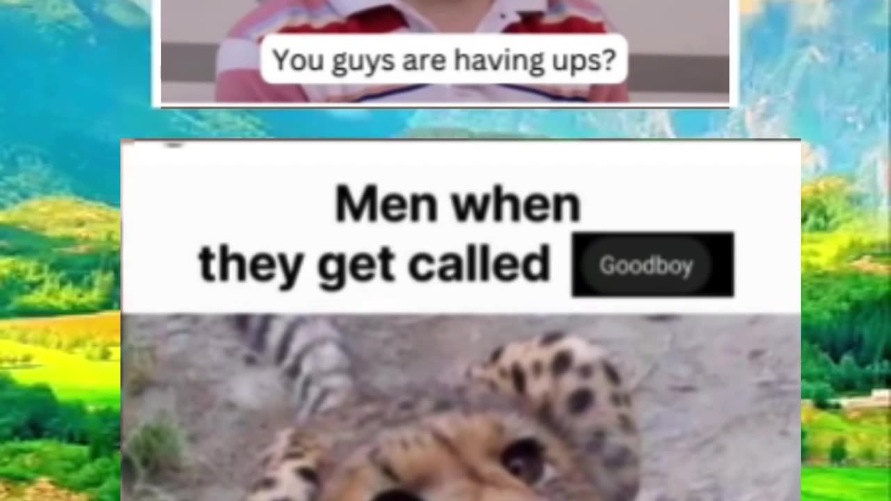 Memes of the day | funny memes | #funny