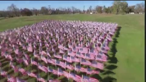 THE AMERICAN FLAG