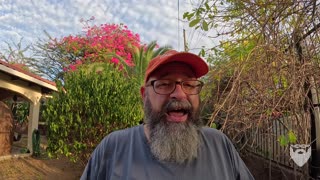 Why Are Some Things Are So Expensive in Nicaragua? 🇳🇮