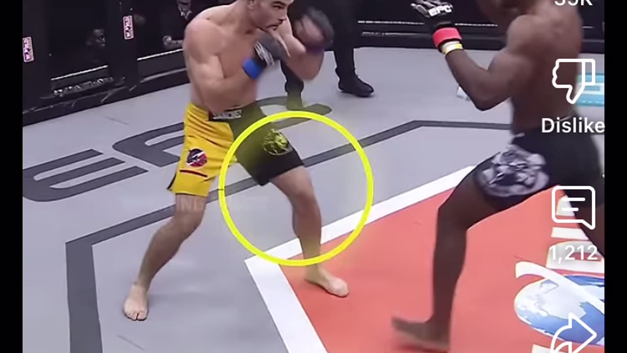 Dang he called him a rat