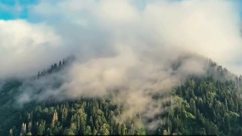 Daily Horoscope | Capricorn 🌟