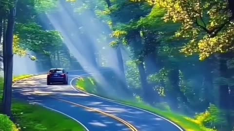 The love of picturesque nature