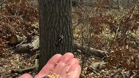Daily dose of nature therapy!