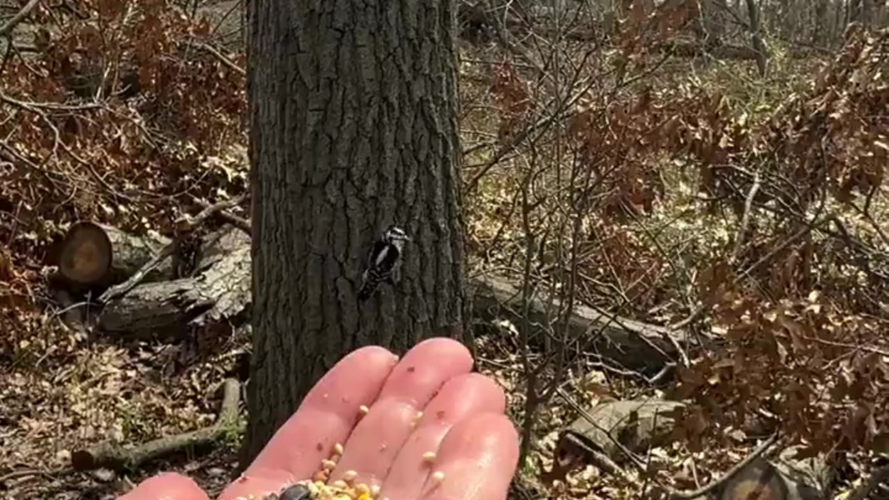 Daily dose of nature therapy!