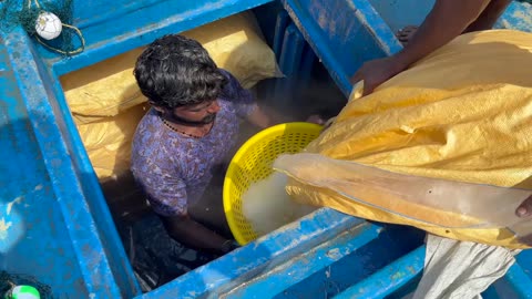Wellenreiter Garnelenjagd in Hainan #HainanFischerei #Garnelenfischen #Tropenfieber