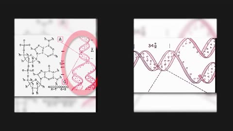 You Won’t Believe What Happens in This Viral Clip!