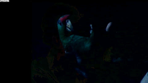 Silent Video - IT'S TIME TO ACTIVATING SUPERGOOD TASTE! - PART IV