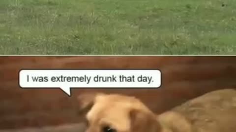 This is funny as