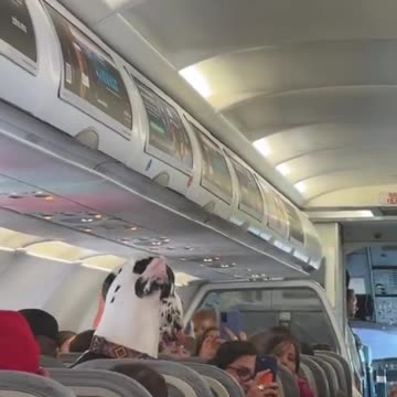 Travelling first class 😊