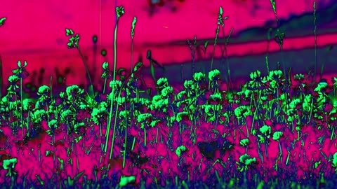 She is Dead (short poem)