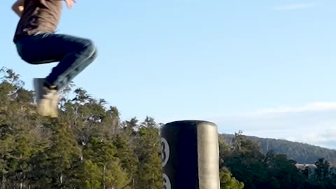 How different animals fight