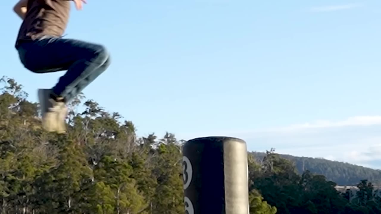 How different animals fight