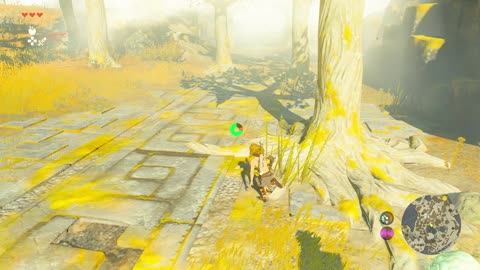 Zelda TOTK [1]: LET'S DO IT Y'ALL