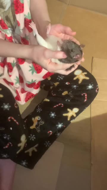 Holding Wednesday Like A Baby