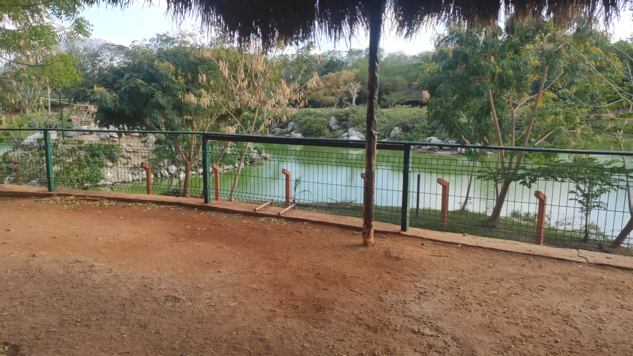 Animaya - Mérida - Yucatán - 4K - Part 6