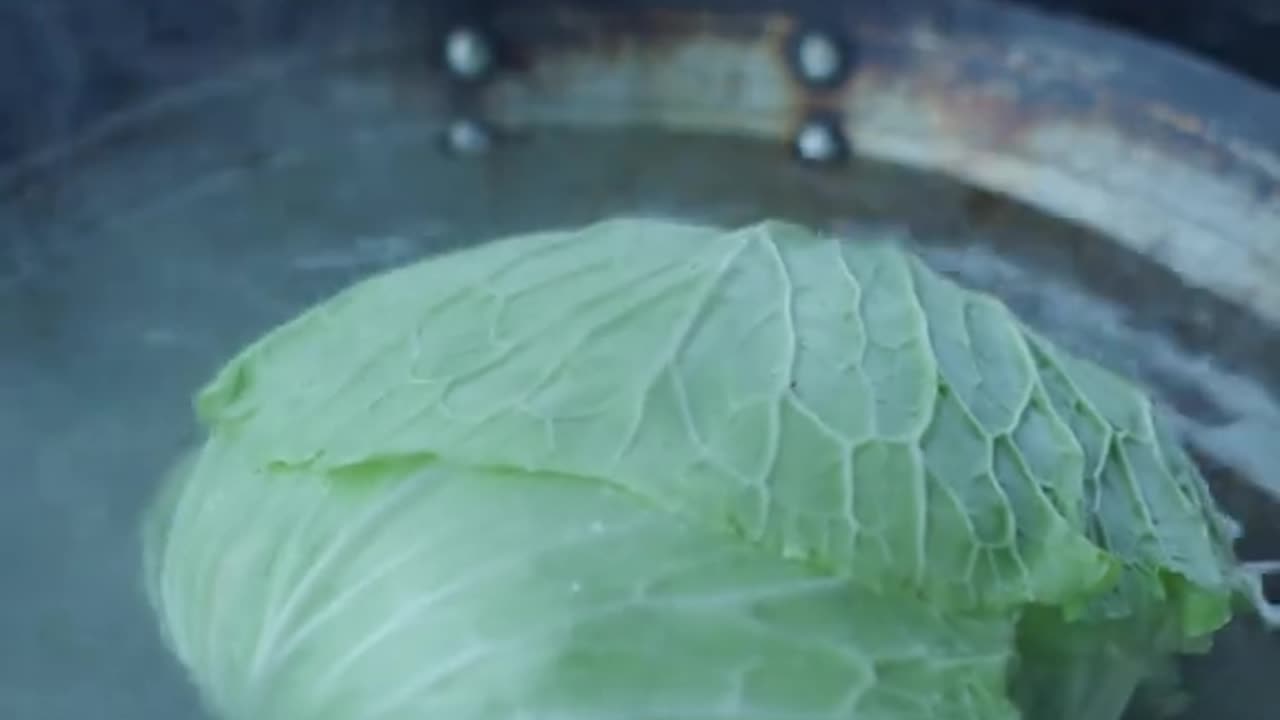 Minced meat stuffed cabbage rolls