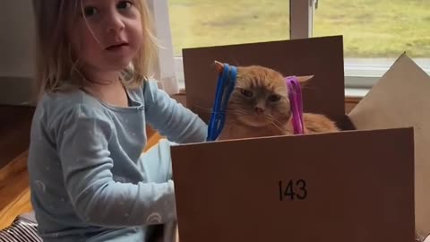 "Cat Turns Into a Ninja Out of Nowhere!"😅😅